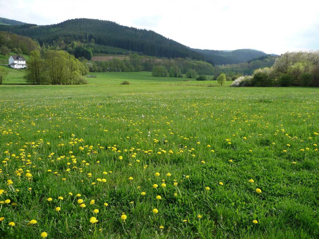 Landhaus Lenneper-Fuehrt Kirchhundem Luaran gambar