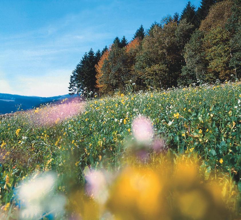 Landhaus Lenneper-Fuehrt Kirchhundem Luaran gambar